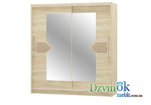 Шкаф купе 2Д