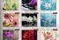 Фотопечать 761