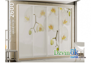 Шкаф-купе 4D 2600